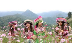 147736027847469-hoacucsaonhai7