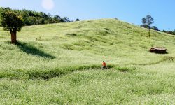 147807548682246-nhungdiemngamhoadep3